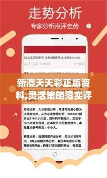 新澳天天彩免费资料2024老|动态分析解释落实_VIP6.527